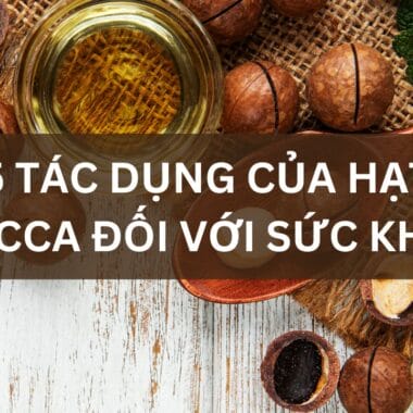 5 tác dụng của hạt macca đối với sức khỏe