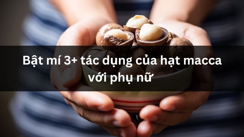 Bật mí 3+ tác dụng của hạt macca với phụ nữ