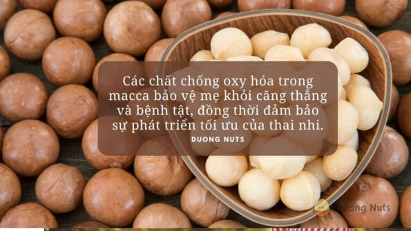 Các chất chống oxy hóa trong macca bảo vệ mẹ khỏi căng thẳng và bệnh tật, đồng thời đảm bảo sự phát triển tối ưu của thai nhi.