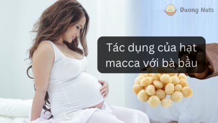 Hạt macca là hạt gì? Khám phá đặc điểm, nguồn gốc, công dụng của macca “nữ hoàng hạt dinh dưỡng”