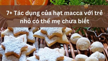 Bà bầu nên ăn hạt macca hay óc chó để có thai kỳ khoẻ mạnh?