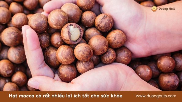 Hạt macca có rất nhiều lợi ích tốt cho sức khỏe