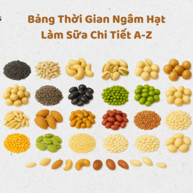 Bảng Thời Gian Ngâm Các Loại Hạt Làm Sữa Chi Tiết A-Z