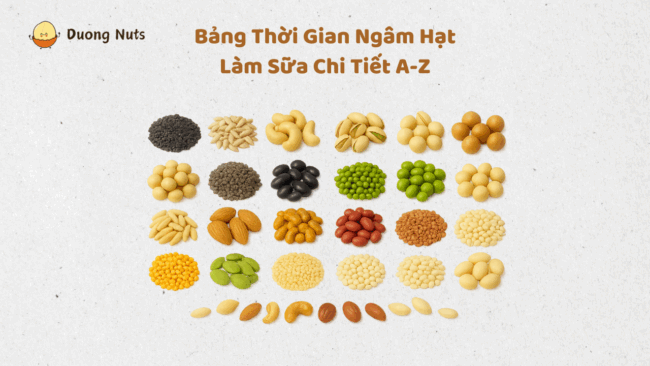 103 công thức sữa hạt thơm ngon, dễ làm tại nhà – bổ dưỡng cho mọi lứa tuổi