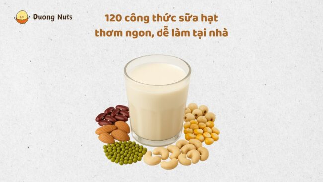 120 công thức sữa hạt thơm ngon, dễ làm tại nhà – bổ dưỡng cho mọi lứa tuổi