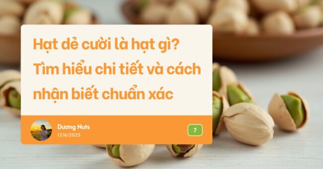 Hạt diêm mạch là hạt gì? Giá trị dinh dưỡng & cách dùng tại Việt Nam