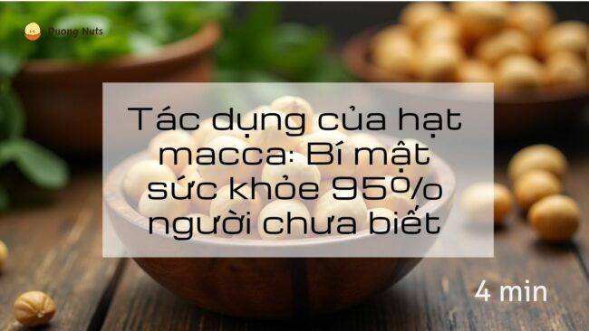 Bật mí 3+ tác dụng của hạt macca với phụ nữ 