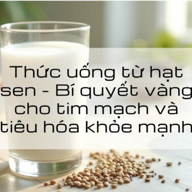 Thức uống từ hạt sen – Bí quyết vàng cho tim mạch và tiêu hóa khỏe mạnh
