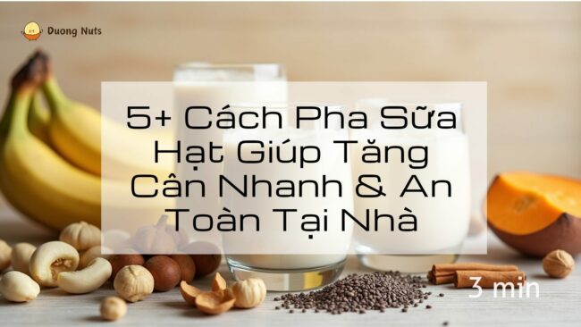 Sữa hạt là gì? Tất cả thông tin cần biết về sữa thực vật [2025]