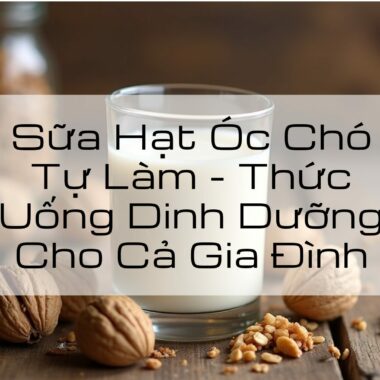 Sữa Hạt Óc Chó Tự Làm – Thức Uống Dinh Dưỡng Cho Cả Gia Đình
