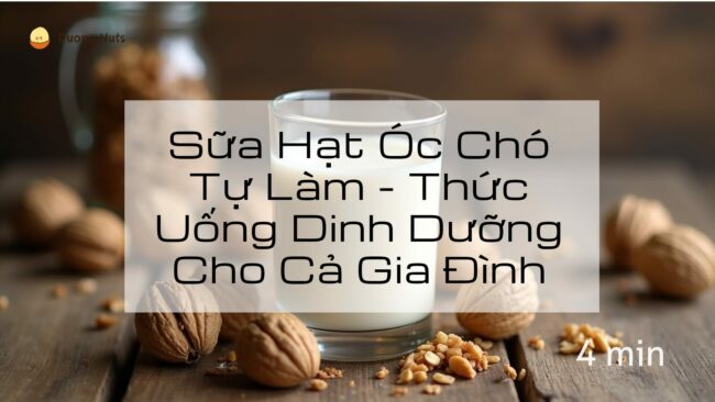 Từ Gian Bếp Đến Ly Sữa Thơm Ngon – Bí Quyết Làm Sữa Đậu Nành Tại Nhà